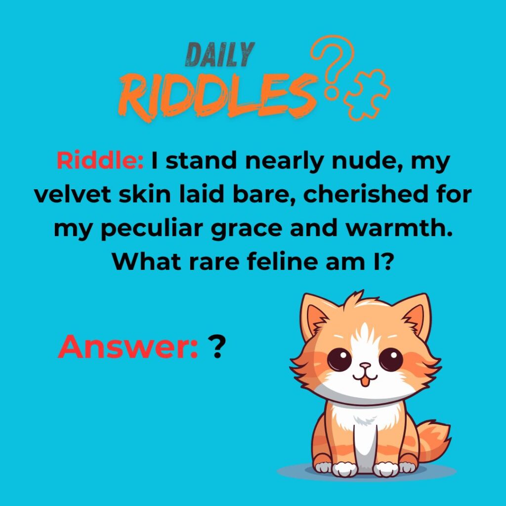 Cat Riddles For Adults