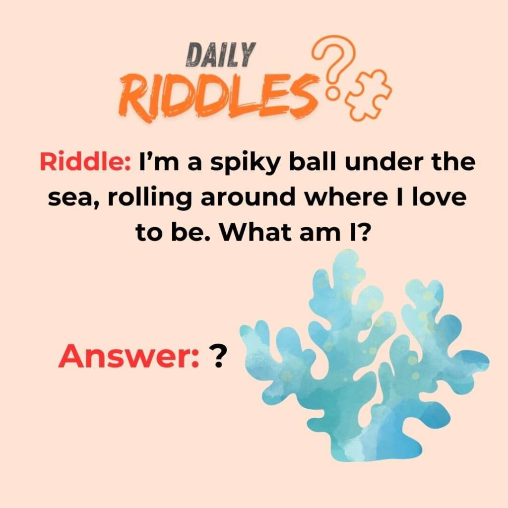 Riddles About Ocean For Kids